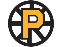 Providence Bruins logo